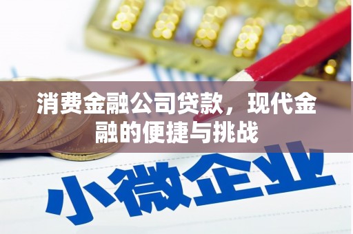 水林消费金融公司贷款，现代金融的便捷与挑战