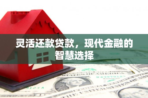 水林灵活还款贷款，现代金融的智慧选择