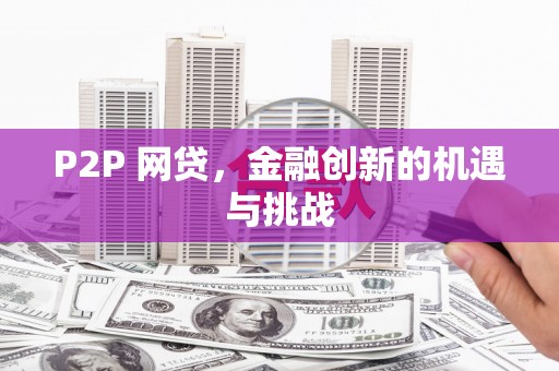 水林P2P 网贷，金融创新的机遇与挑战