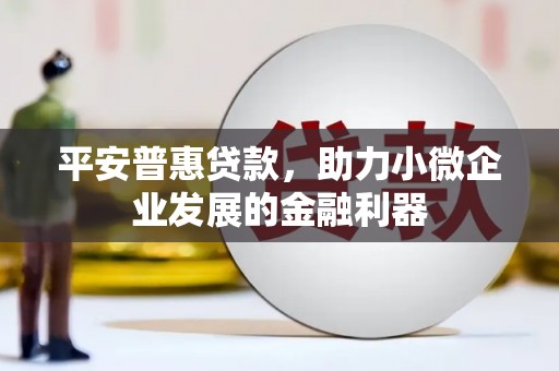 水林平安普惠贷款，助力小微企业发展的金融利器