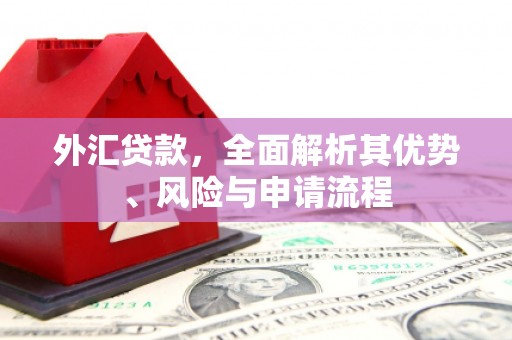 水林外汇贷款，全面解析其优势、风险与申请流程