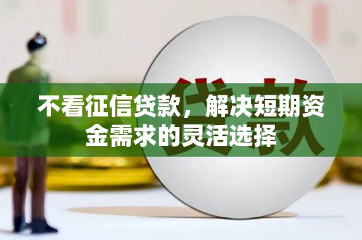 水林不看征信贷款，解决短期资金需求的灵活选择