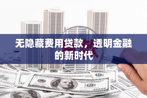 水林无隐藏费用贷款，透明金融的新时代