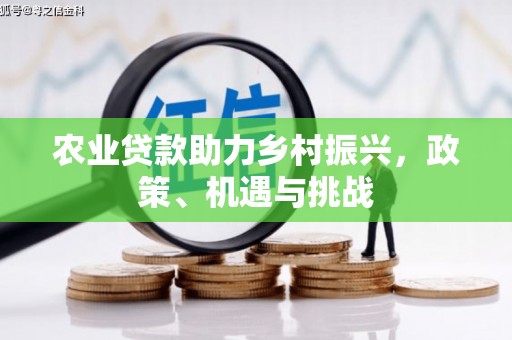 水林农业贷款助力乡村振兴，政策、机遇与挑战