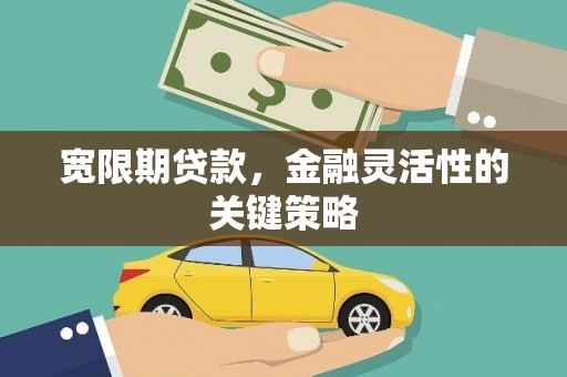 水林宽限期贷款，金融灵活性的关键策略