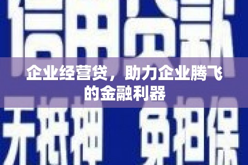 水林企业经营贷，助力企业腾飞的金融利器