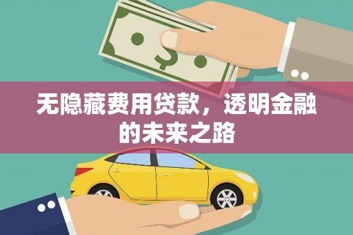 水林无隐藏费用贷款，透明金融的未来之路