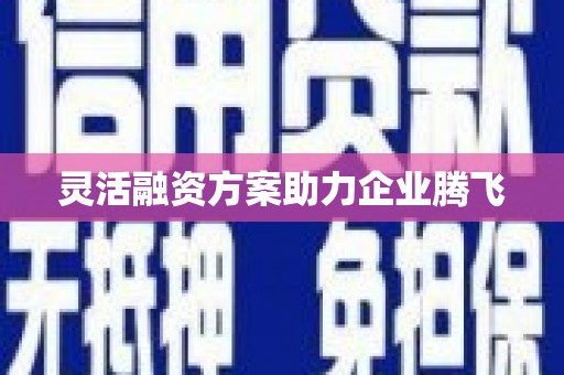 水林灵活融资方案助力企业腾飞