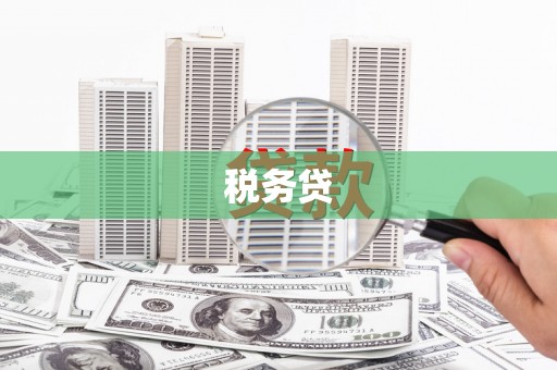 水林税务贷