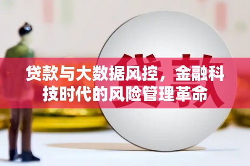 水林贷款与大数据风控，金融科技时代的风险管理革命