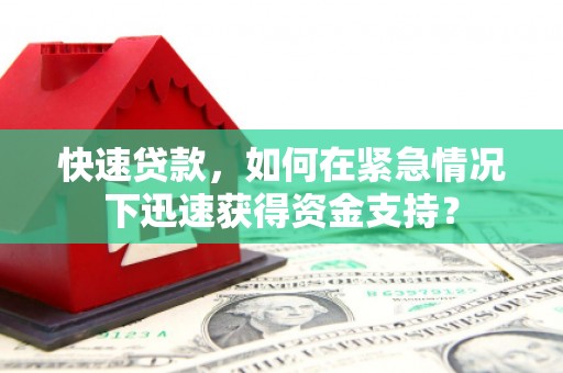 水林快速贷款，如何在紧急情况下迅速获得资金支持？
