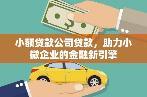 水林小额贷款公司贷款，助力小微企业的金融新引擎