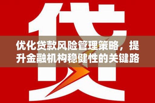 水林优化贷款风险管理策略，提升金融机构稳健性的关键路径