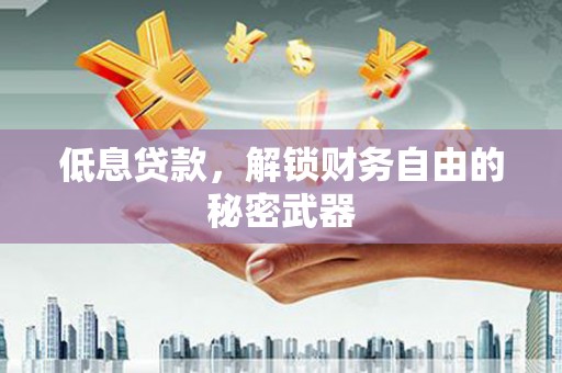 水林低息贷款，解锁财务自由的秘密武器