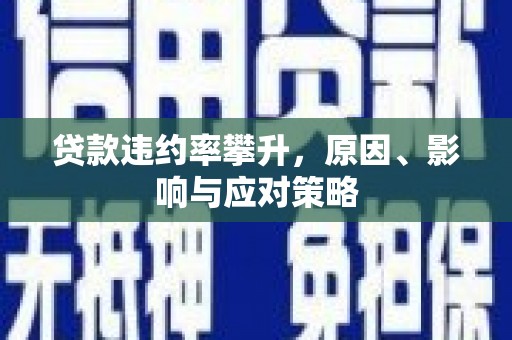 水林贷款违约率攀升，原因、影响与应对策略