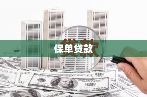水林保单贷款