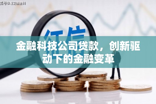 水林金融科技公司贷款，创新驱动下的金融变革