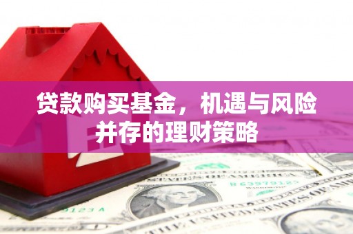 水林贷款购买基金，机遇与风险并存的理财策略