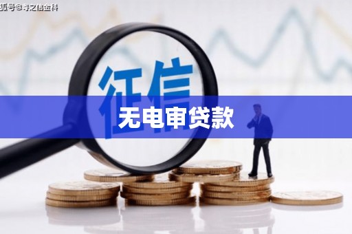 水林无电审贷款