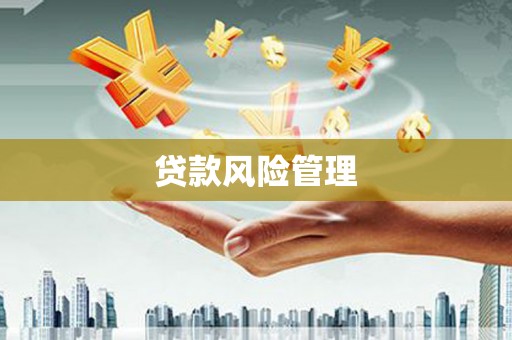 水林贷款风险管理