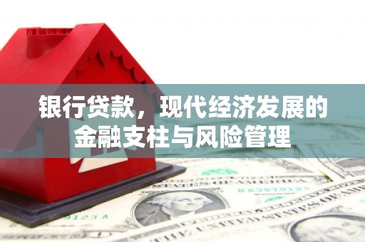 水林银行贷款，现代经济发展的金融支柱与风险管理