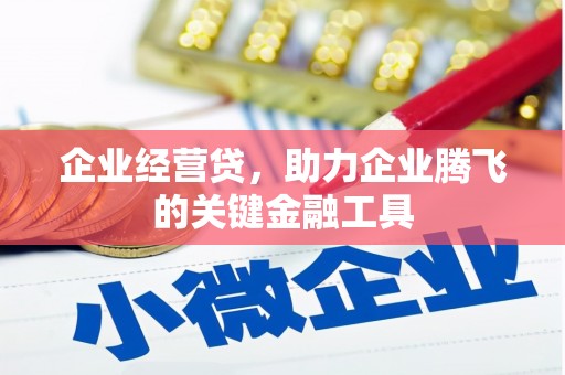 水林企业经营贷，助力企业腾飞的关键金融工具
