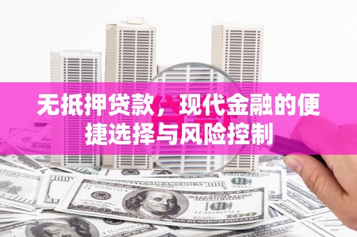水林无抵押贷款，现代金融的便捷选择与风险控制