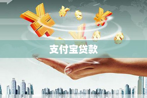 水林支付宝贷款