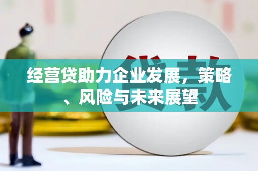 水林经营贷助力企业发展，策略、风险与未来展望