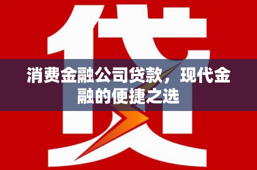 水林消费金融公司贷款，现代金融的便捷之选