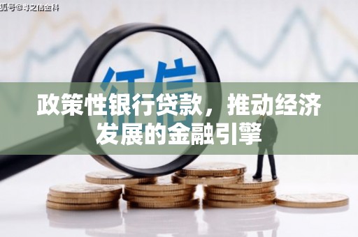 水林政策性银行贷款，推动经济发展的金融引擎