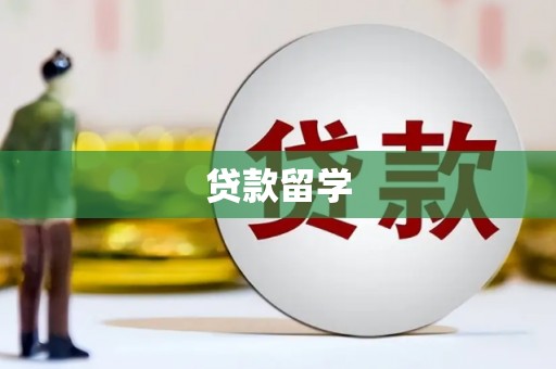 水林贷款留学