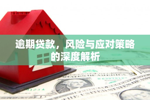 水林逾期贷款，风险与应对策略的深度解析