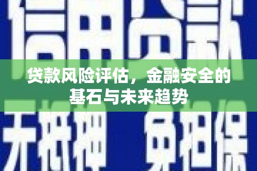 水林贷款风险评估，金融安全的基石与未来趋势