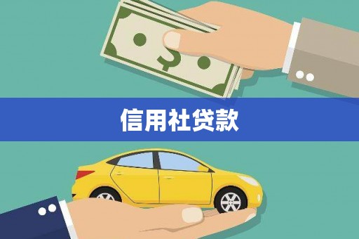 水林信用社贷款