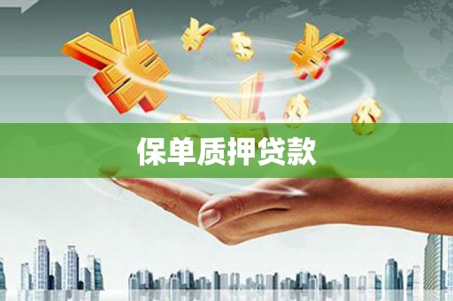 水林保单质押贷款