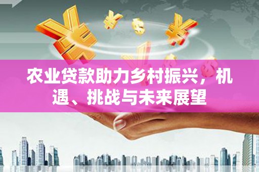 水林农业贷款助力乡村振兴，机遇、挑战与未来展望