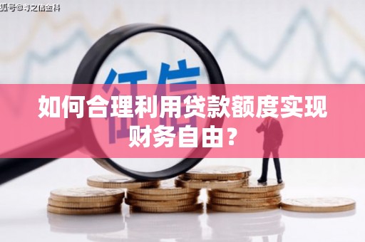 水林如何合理利用贷款额度实现财务自由？