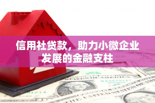 水林信用社贷款，助力小微企业发展的金融支柱