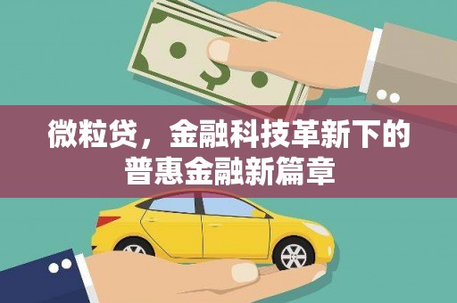 水林微粒贷，金融科技革新下的普惠金融新篇章