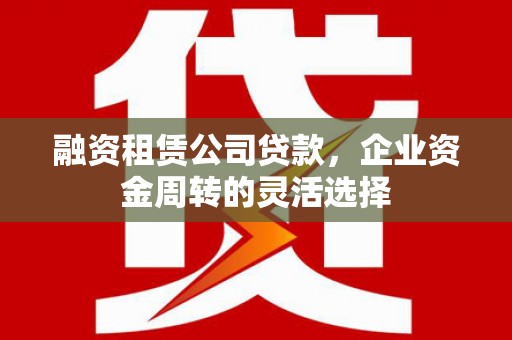 水林融资租赁公司贷款，企业资金周转的灵活选择