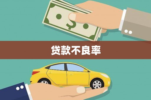 水林贷款不良率