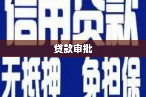 水林贷款审批