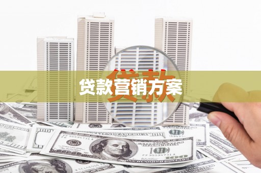 水林贷款营销方案