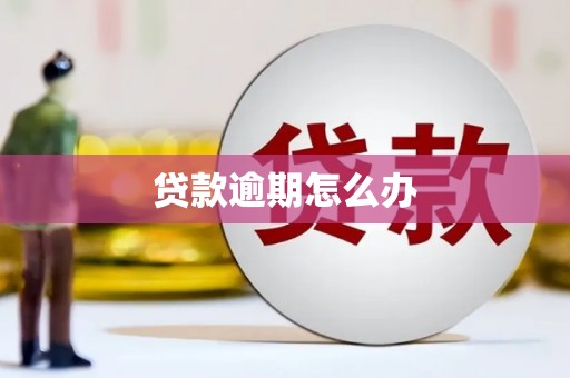 水林贷款逾期怎么办