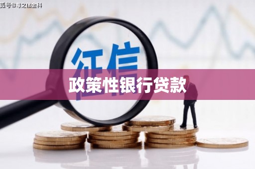 水林政策性银行贷款