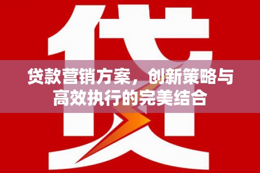 水林贷款营销方案，创新策略与高效执行的完美结合