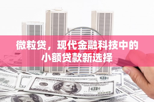 水林微粒贷，现代金融科技中的小额贷款新选择