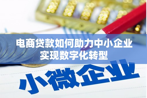 水林电商贷款如何助力中小企业实现数字化转型