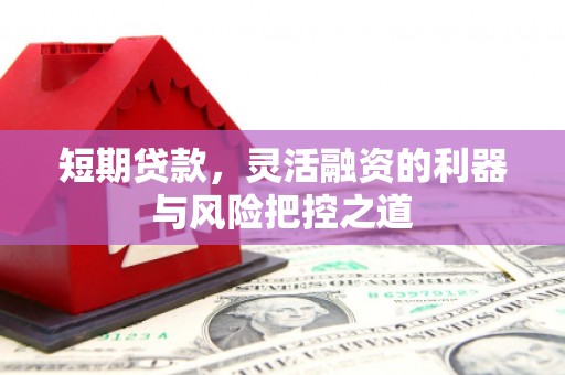 水林短期贷款，灵活融资的利器与风险把控之道